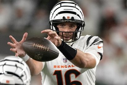 article image - Steelers Bengals Football